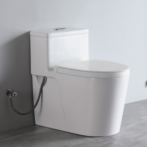 Bệt vệ sinh liền khối W004